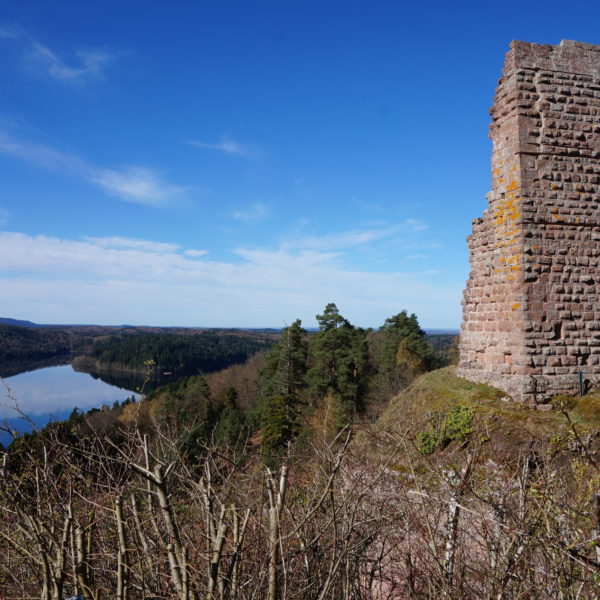 Chateau de Salm